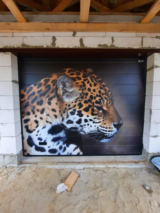 Секционные гаражные ворота Prestige с фотопечатью 2750х2305 Марди Белгород