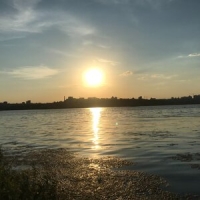 Марди