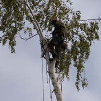 Максим К. Марди Воронеж